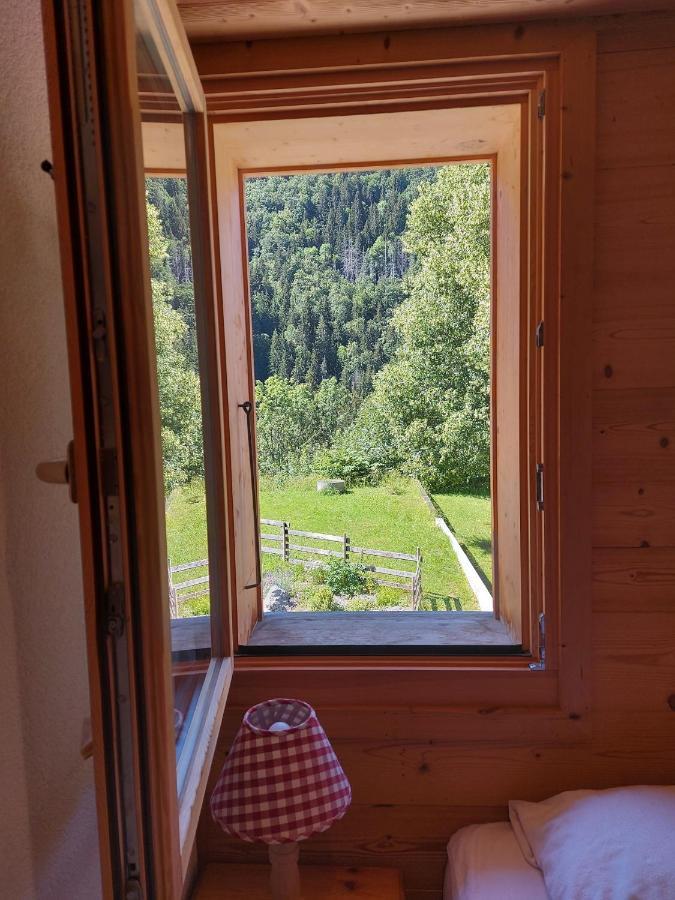 Chalet Sauna Au Pied Des Pistes - Saint Jean D'Aulps Station - 14 Personnes - Chalet Phoenix Dış mekan fotoğraf